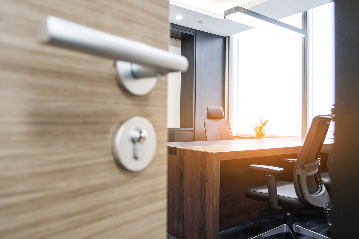 Facility Access Control To Hone Security For a Software Services Provider
