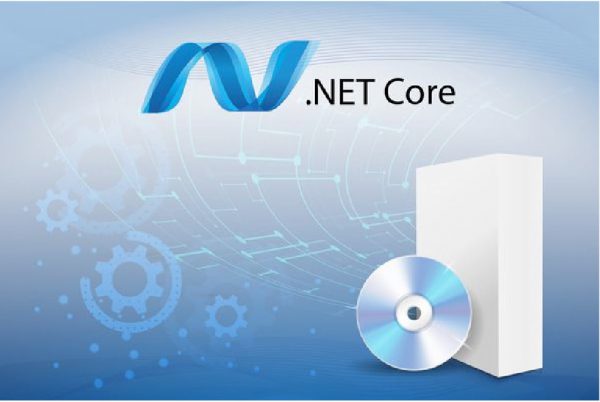 .NET Core Framework Complete Review