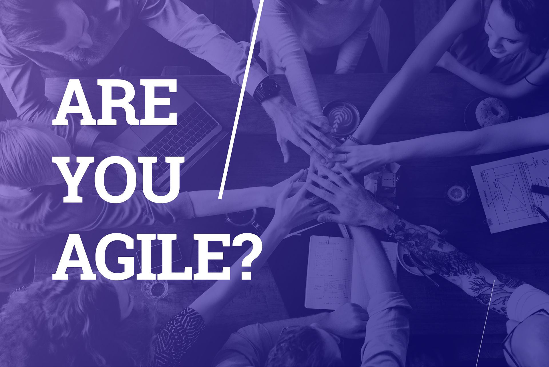 AGILE software development and business management: main highlights
