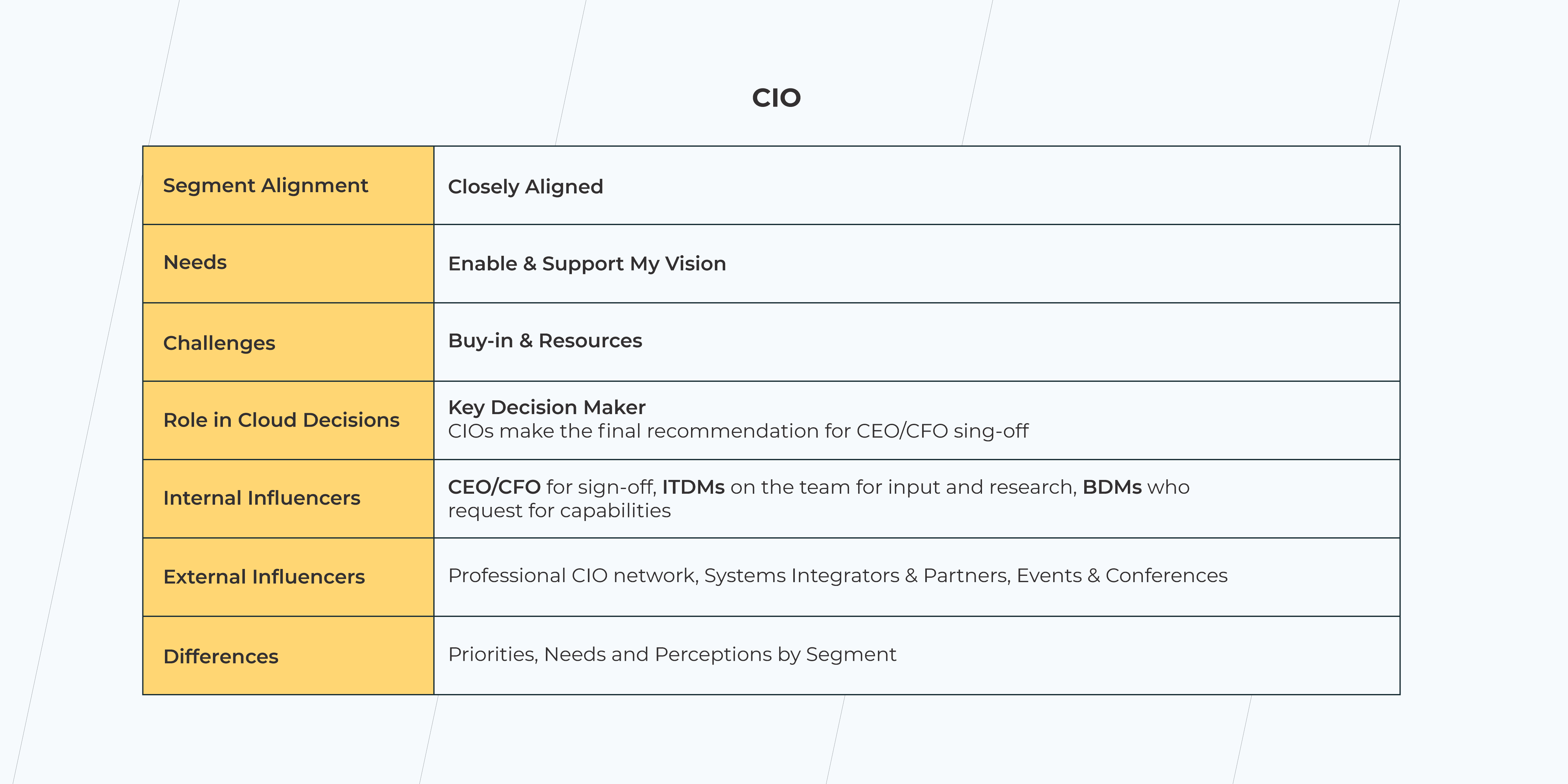 chief information officer