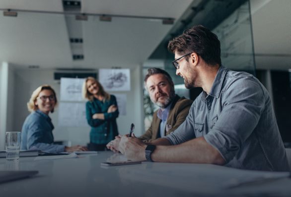 ERP Consulting