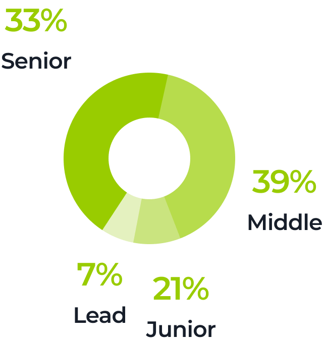 A green donut chart displays job levels: 39% Middle, 33% Senior, 21% Junior, and 7% Lead. The largest segment is Middle, followed by Senior, Junior, and Lead. Each percentage is labeled outside the corresponding segment.