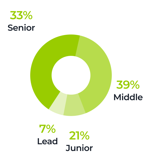 A green donut chart displays job levels: 39% Middle, 33% Senior, 21% Junior, and 7% Lead. The largest segment is Middle, followed by Senior, Junior, and Lead. Each percentage is labeled outside the corresponding segment.