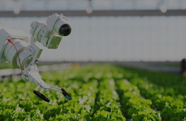 Real-time AI-powered Monitoring System