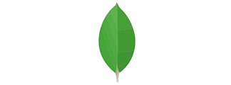 MongoDB